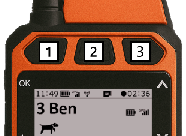 Training buttons